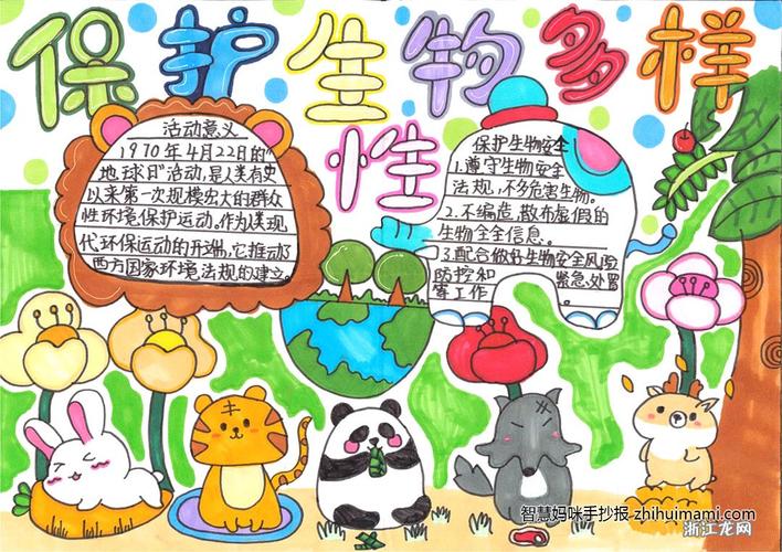 生物多样性保护(生物多样性保护手抄报)