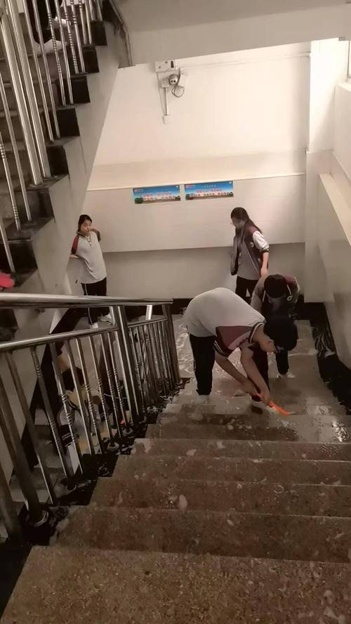 劳动教育实践(劳动教育实践活动)