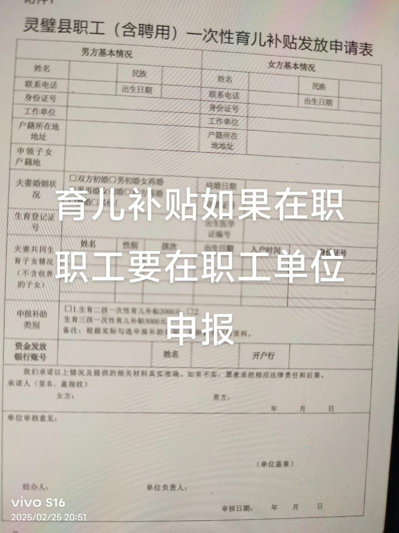 育儿补贴申报超2400万(育儿补助金)