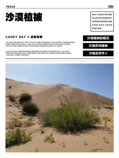 沙漠生态新发现(沙漠生态保护措施)