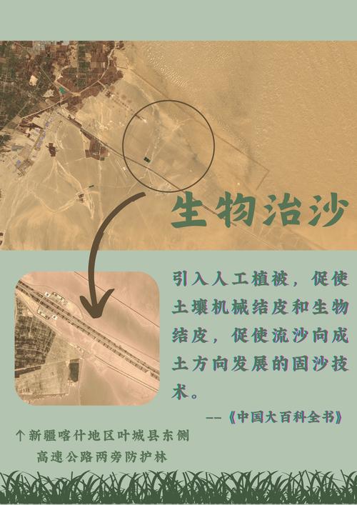 沙漠生态新发现(沙漠生态保护措施)