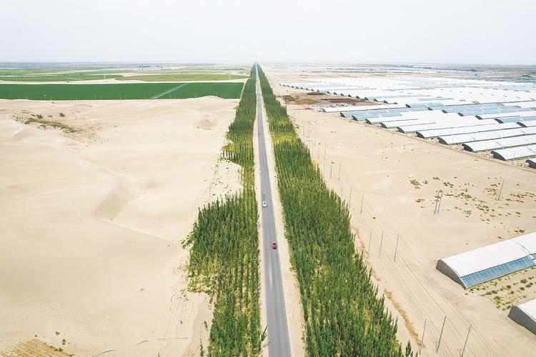 沙漠生态新发现(沙漠生态保护措施)