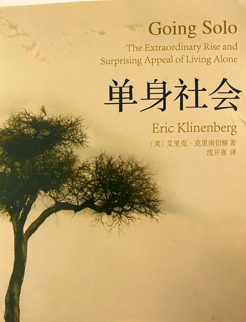 孤独经济(单身社会现象)(孤独经济是什么)