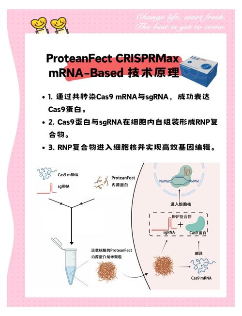 基因编辑保险(临床应用保障)(基因编辑是怎么回事)