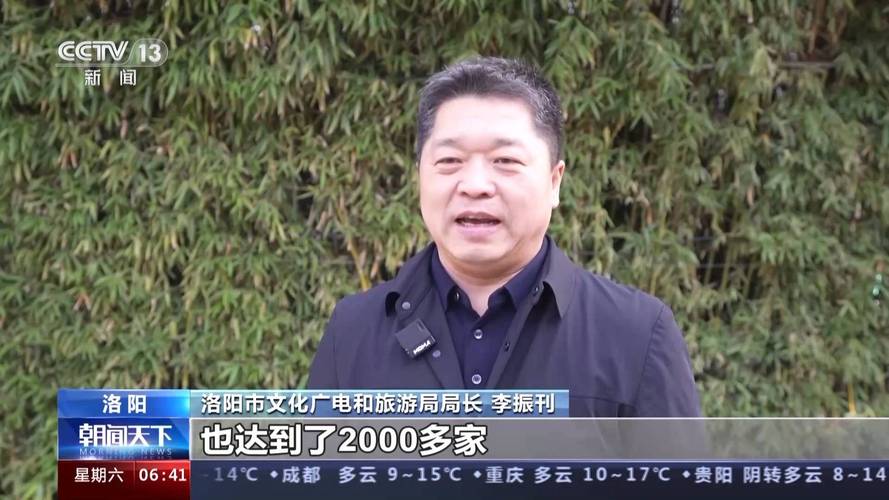 文旅局长出圈(地方治理创新)(文旅局董事长)