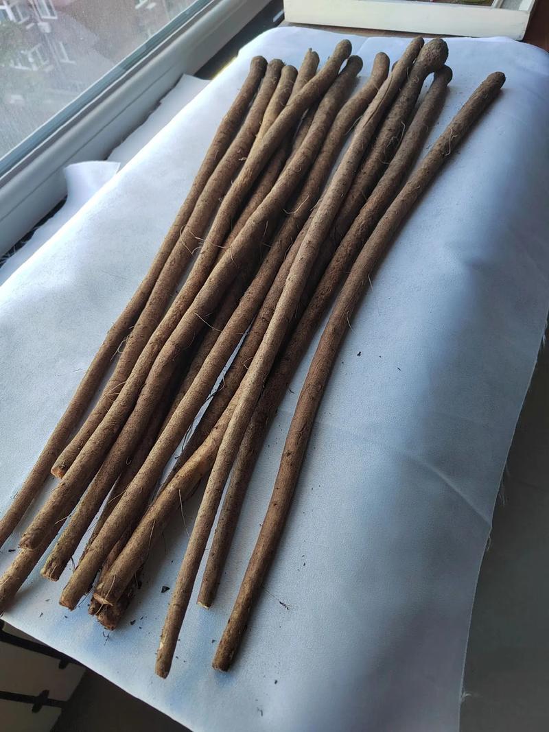 牛蒡的做法(鲜牛蒡怎么吃)